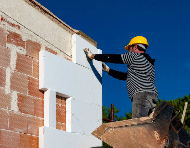Best Insulation Contractors for Homes  in Lockney, TX