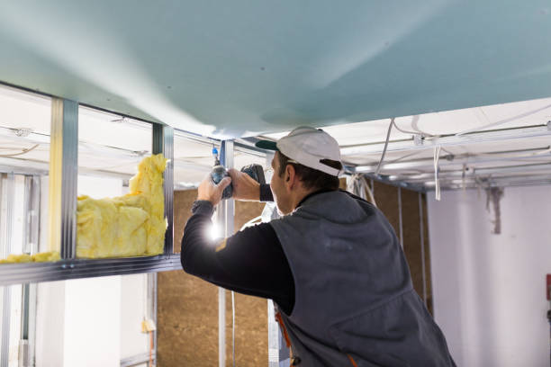 Best Insulation Contractor Near Me  in Lockney, TX