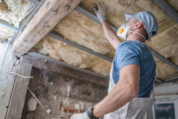 Best Affordable Insulation Services  in Lockney, TX