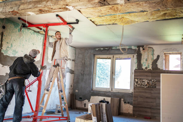 Best Insulation Repair Services  in Lockney, TX