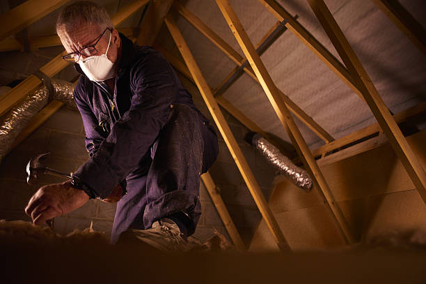 Best Insulation Repair Services  in Lockney, TX